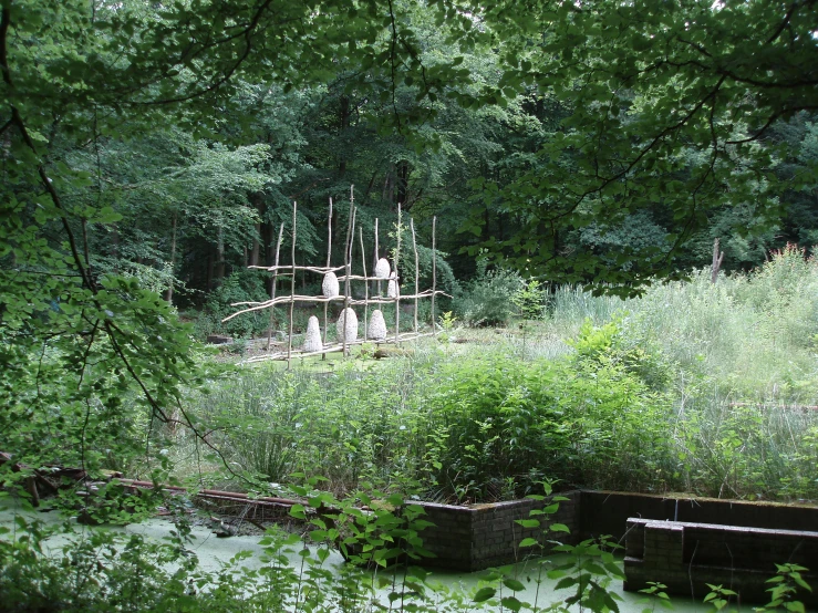 there are trees and grass near the boat on the water