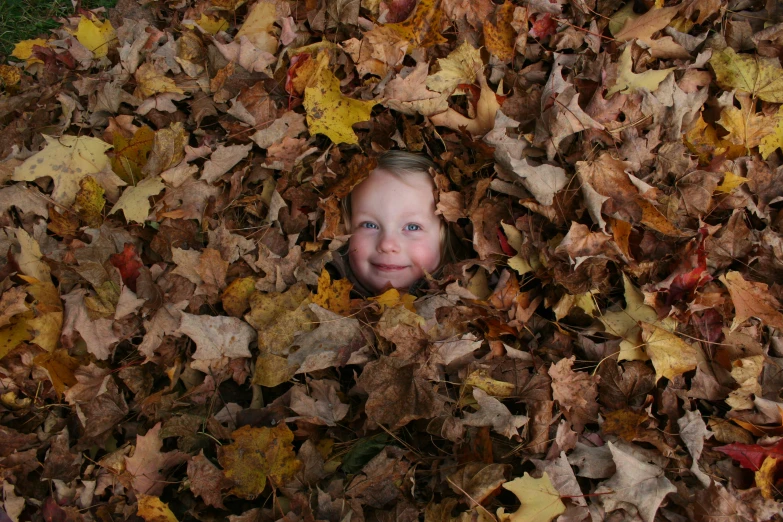 a girl is poking her head out of the leaves