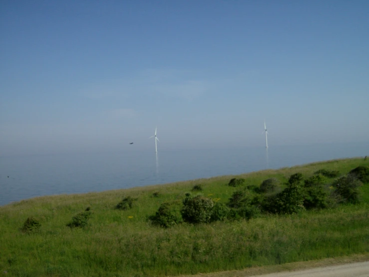a view of a wind farm from a hill