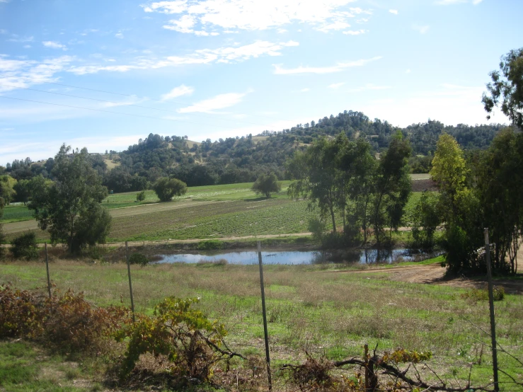 a fenced in field has small river behind it