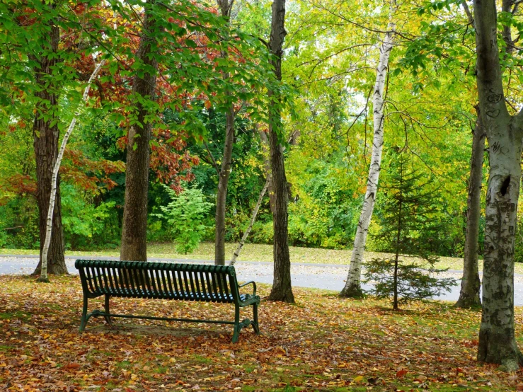 the park bench in autumn is empty except for the fallen leaves