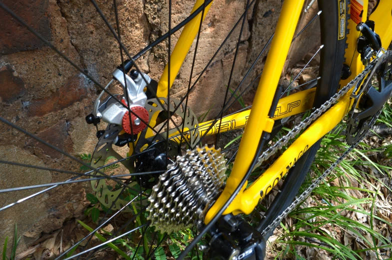 closeup of the rear end of a bike parked on some grass