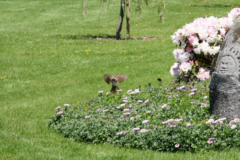 a small bird in the grass near flowers and a sculpture