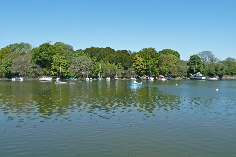 a lake with boats on it surrounded by lots of trees