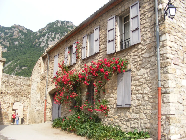 a building with flowers growing on the outside