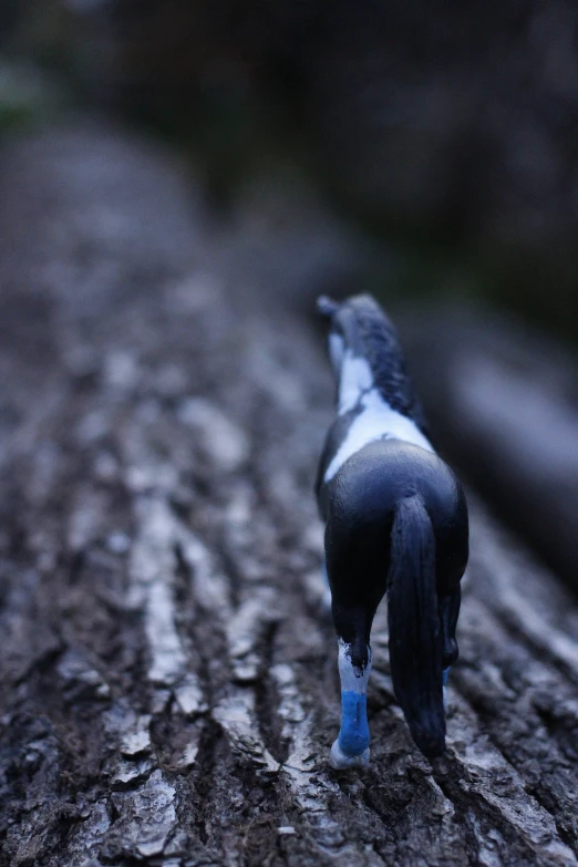 the hand of a bird that is wearing a glove