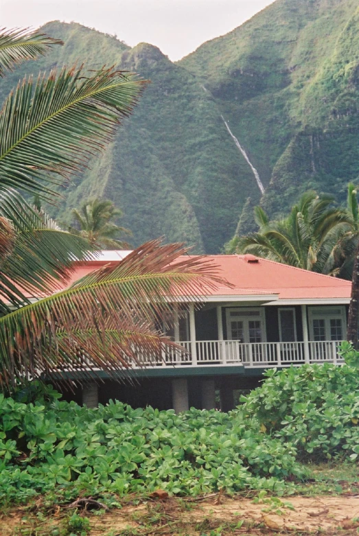 a house is surrounded by palm trees and mountains