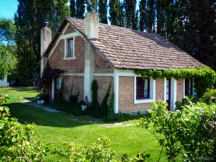 a small home with vines growing all over the roof