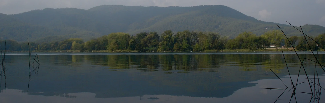 a peaceful lake surrounded by trees and mountains