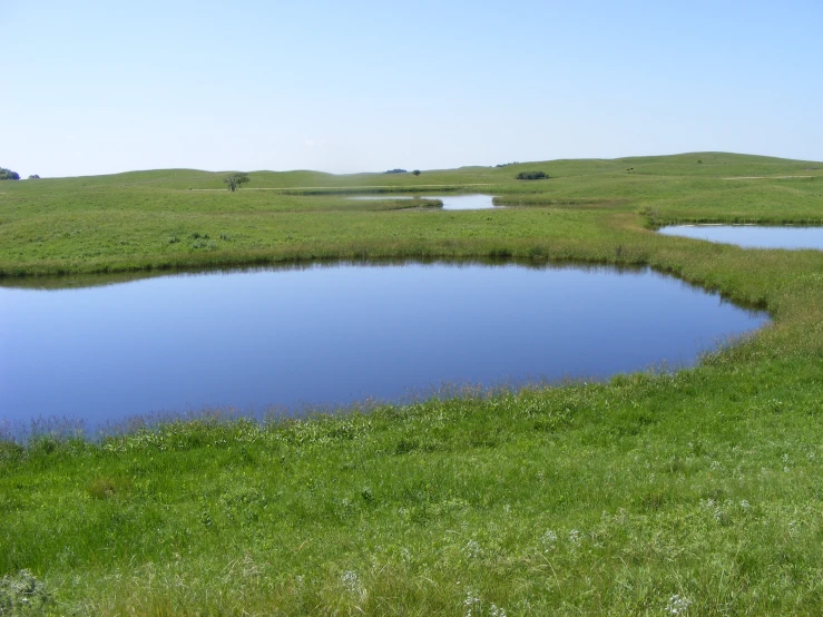 a blue lake with grassy land in the background