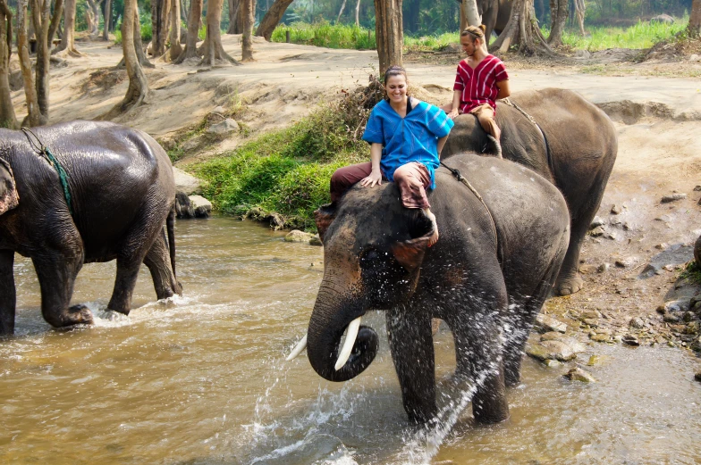 two people riding on the back of large elephants