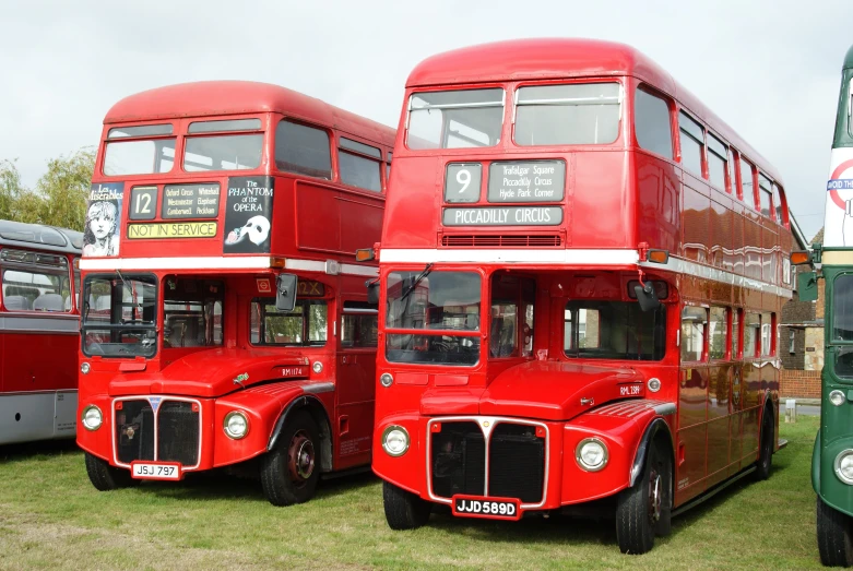 several double decker buses sit next to each other on grass