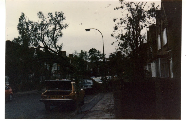 cars are parked on the side of a street with trees