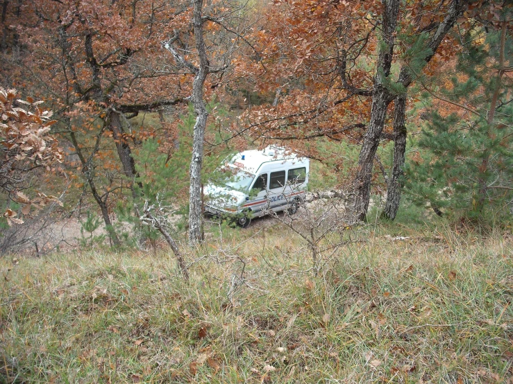 an old van is parked by the trees