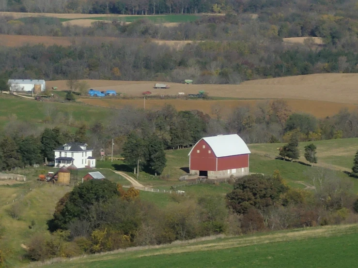 the farm is home to several horses, horses, and goats