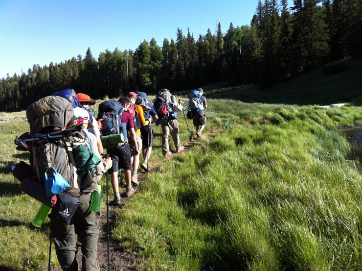 a group of people are trekking on a grassy path