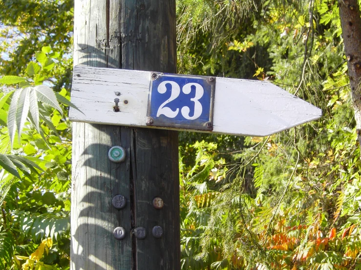 a white and blue wooden pole with a number 23