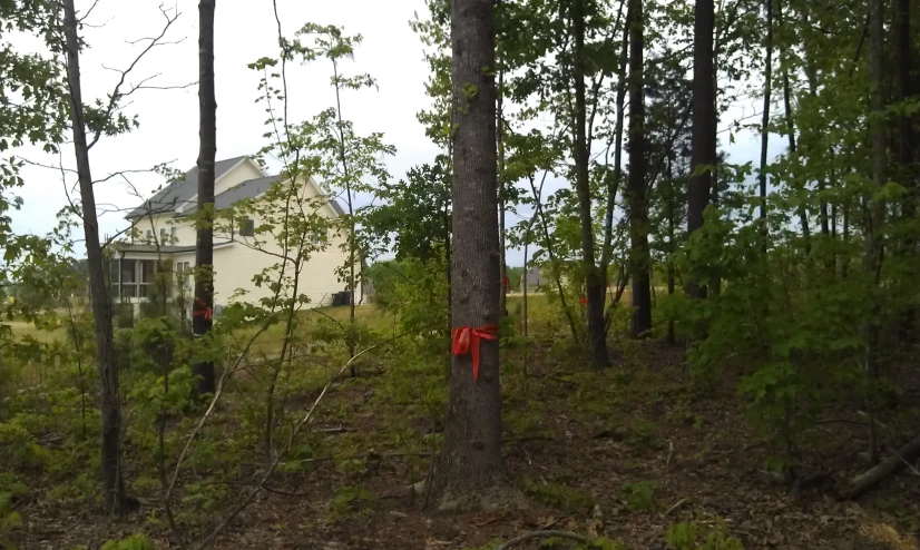 a house with an arrow in the forest near trees