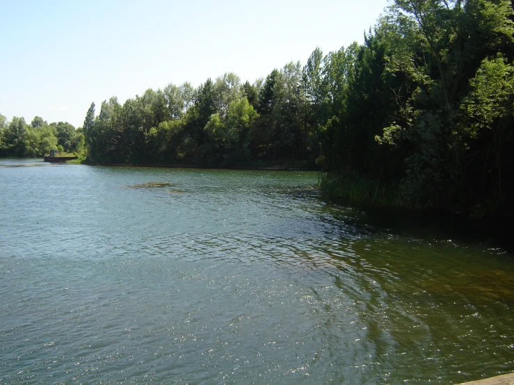 trees are standing at the end of a lake