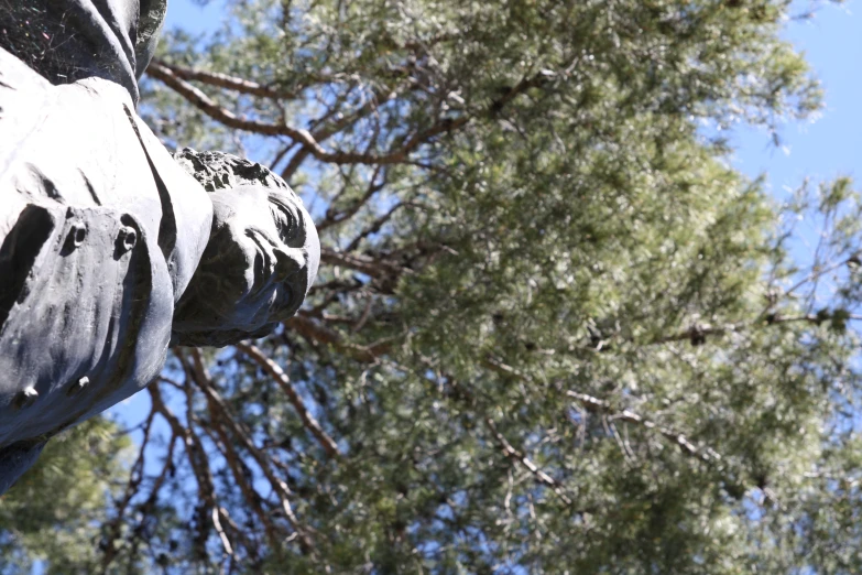 a statue of a person sits in front of a tree