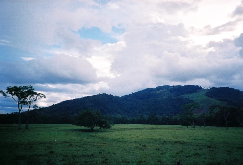 a field that has a big mountain in the background