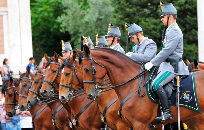 a group of people riding on the back of horses