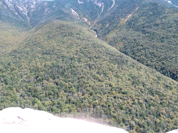 a plane flying over a very large wooded area