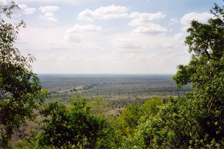 a view over a field and trees in the distance