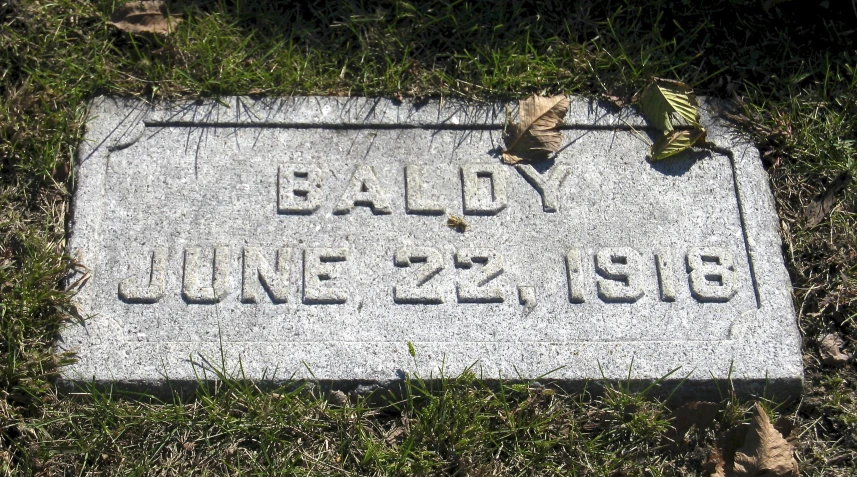 grave of a man and woman with a plant on the head