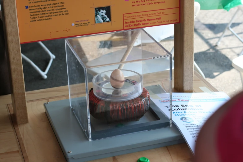 there is a display case with an oriental instrument