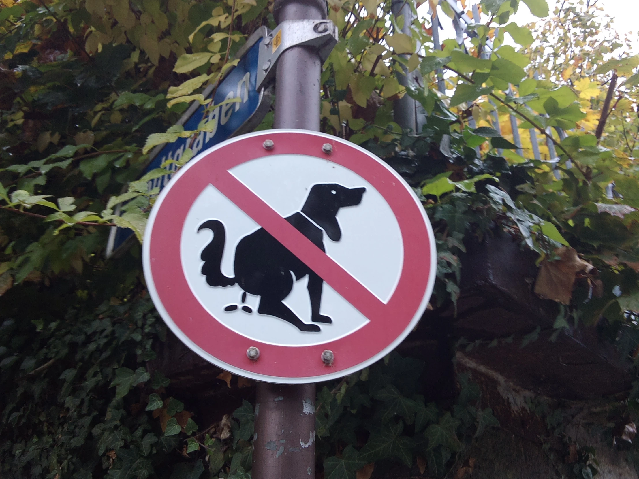 a red and white sign that is on a pole