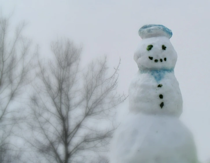 a snowman made out of snow in a park