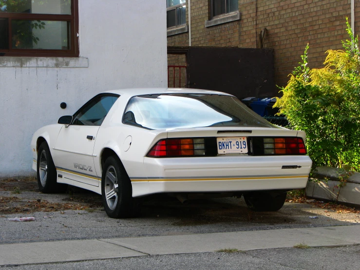 the back of a white and gold police car parked next to a plant