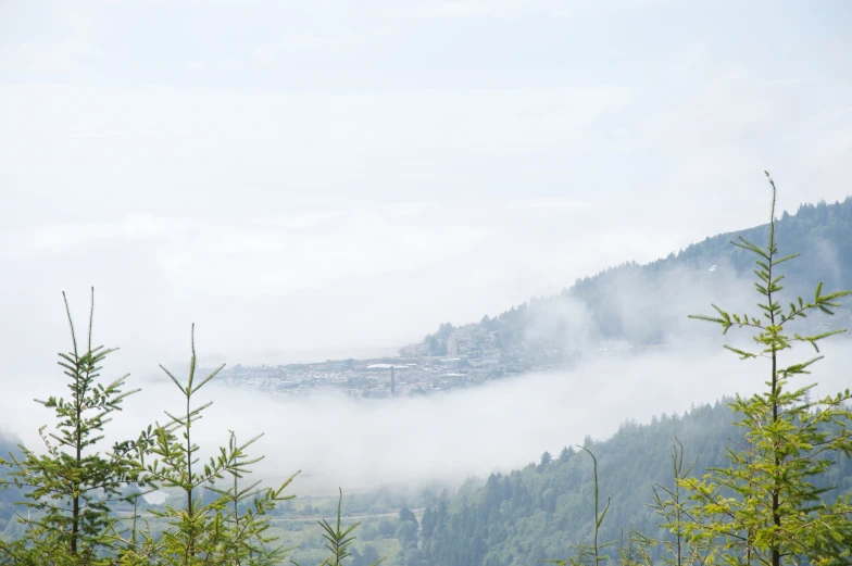 an area with some trees and houses in the fog