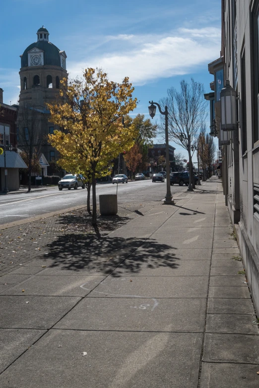 the sidewalk beside the sidewalk features a small tree, benches, street signs and an old clock tower