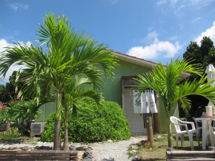 a tropical garden in front of a green house