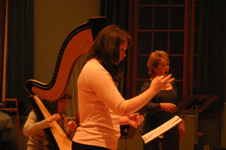 a woman sitting next to a long harp