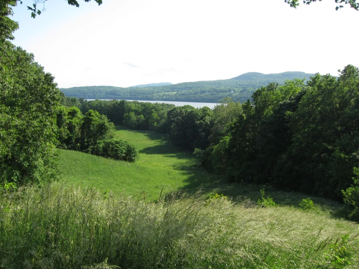 an open field with a lake in the distance