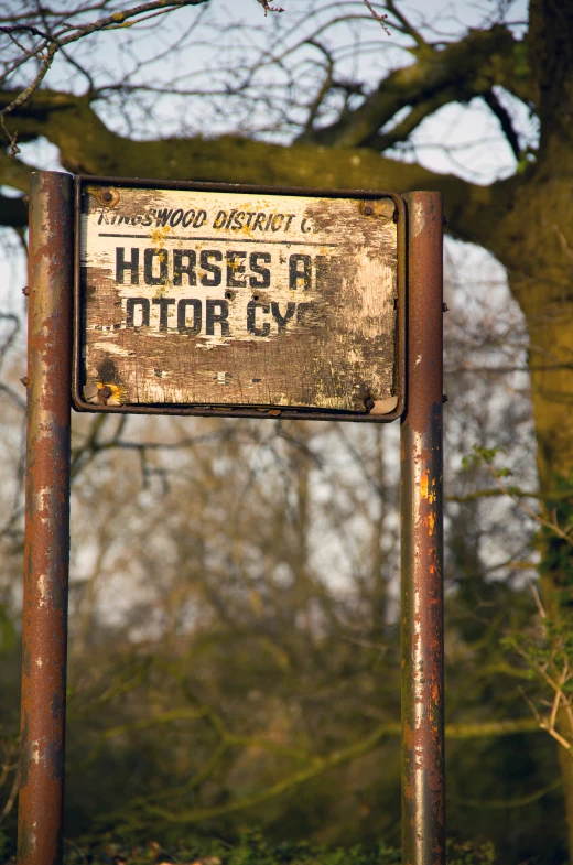 a old sign stands near a field with leafless trees