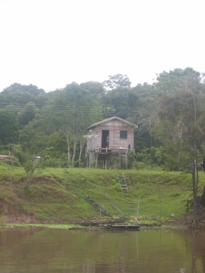 there is a old house in the middle of a forest