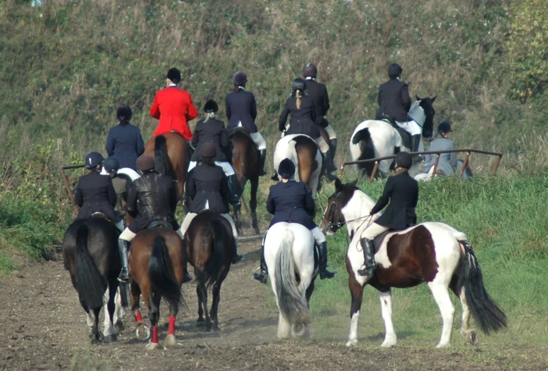 a group of people that are riding on some horses