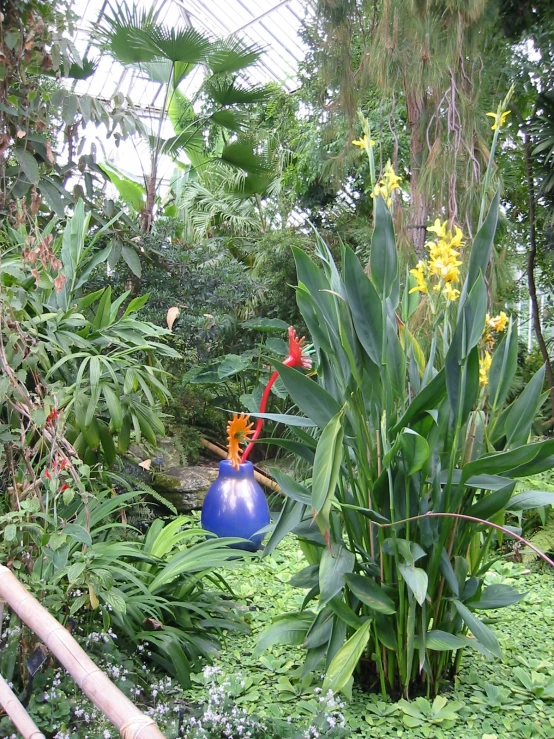 an assortment of plant life in an indoor forest