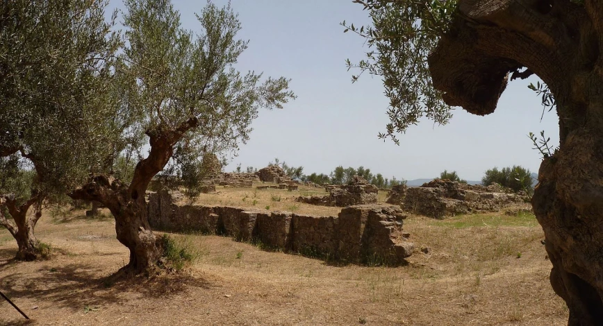 an outdoor area is very beautiful and barren