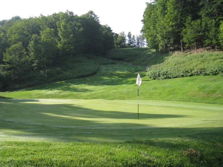 a green golf course has two white flags