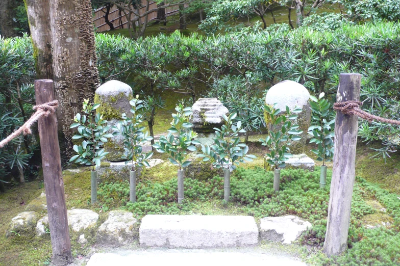 stone pillars and sculptures in a garden with various types of plants and trees