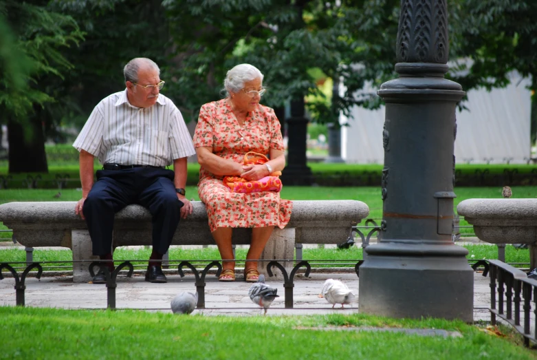 an old couple sits on a bench outside in the park