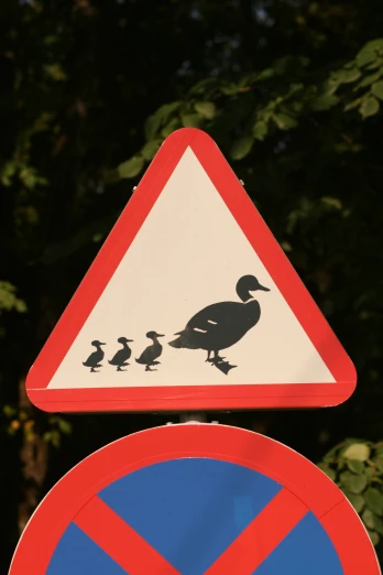 this is the road sign for duck family crossing