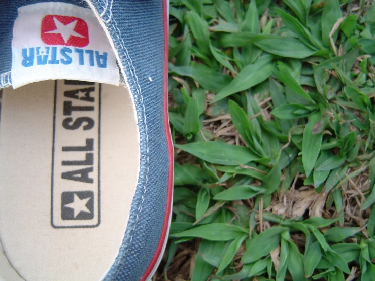 the blue shoes are the only good alternative for walking on grass