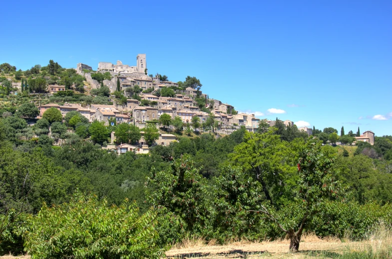 small houses on a hill with trees and grass