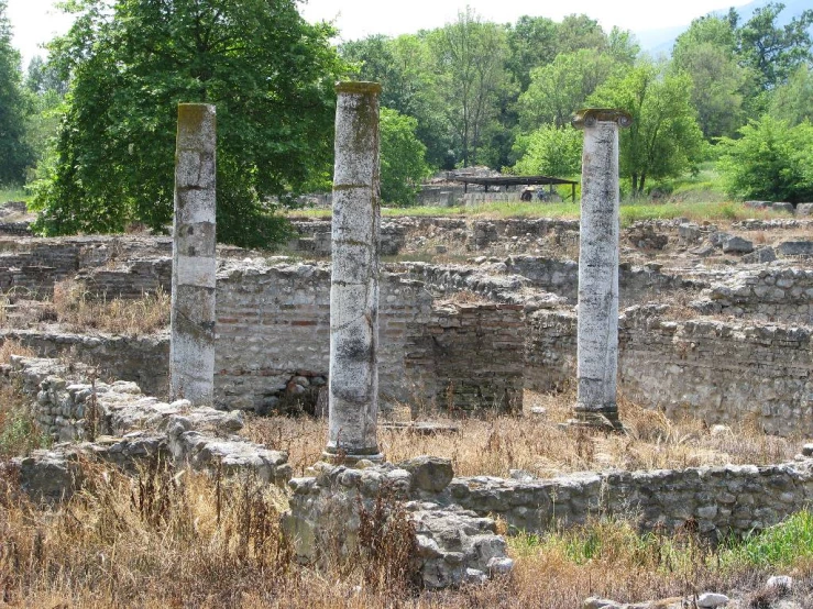 many ancient ruins with one near tree